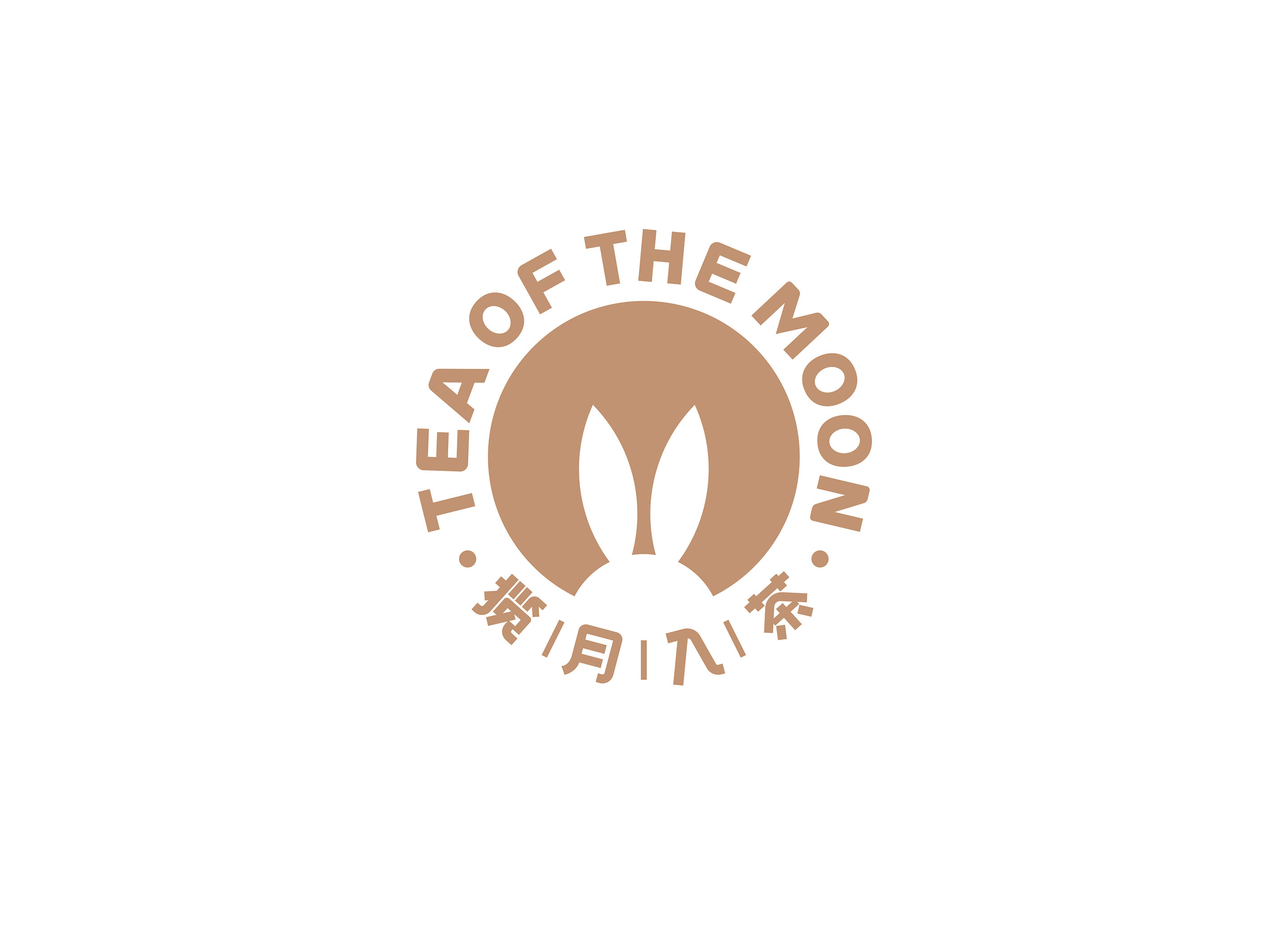 揽月入茶连锁项目形象设计插图