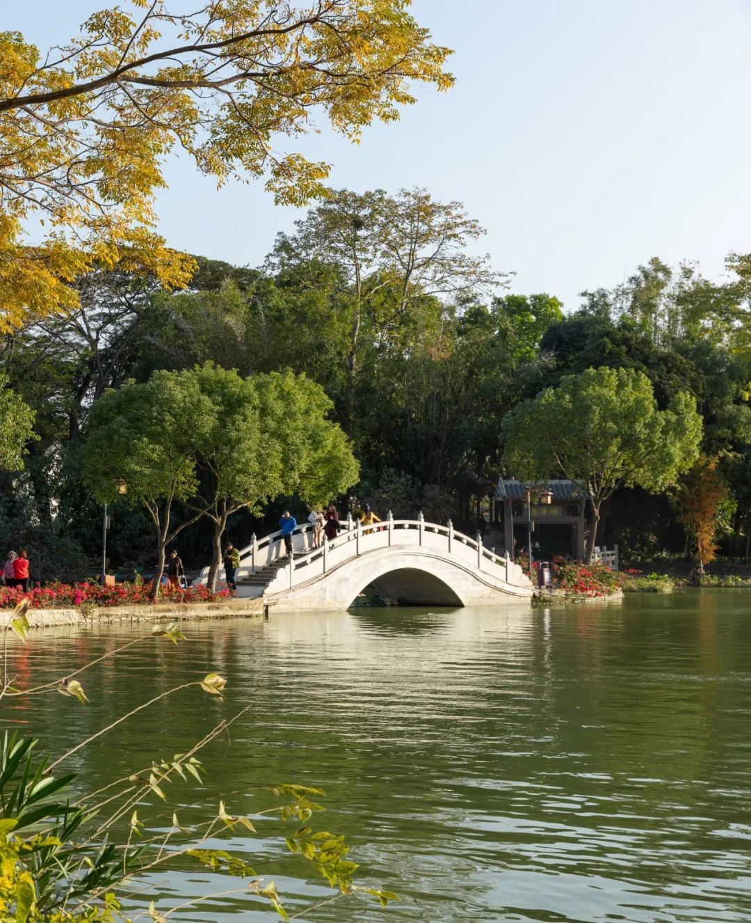 惠州 祝屋巷街区微改造EPC | 华灯初上夜未央插图8