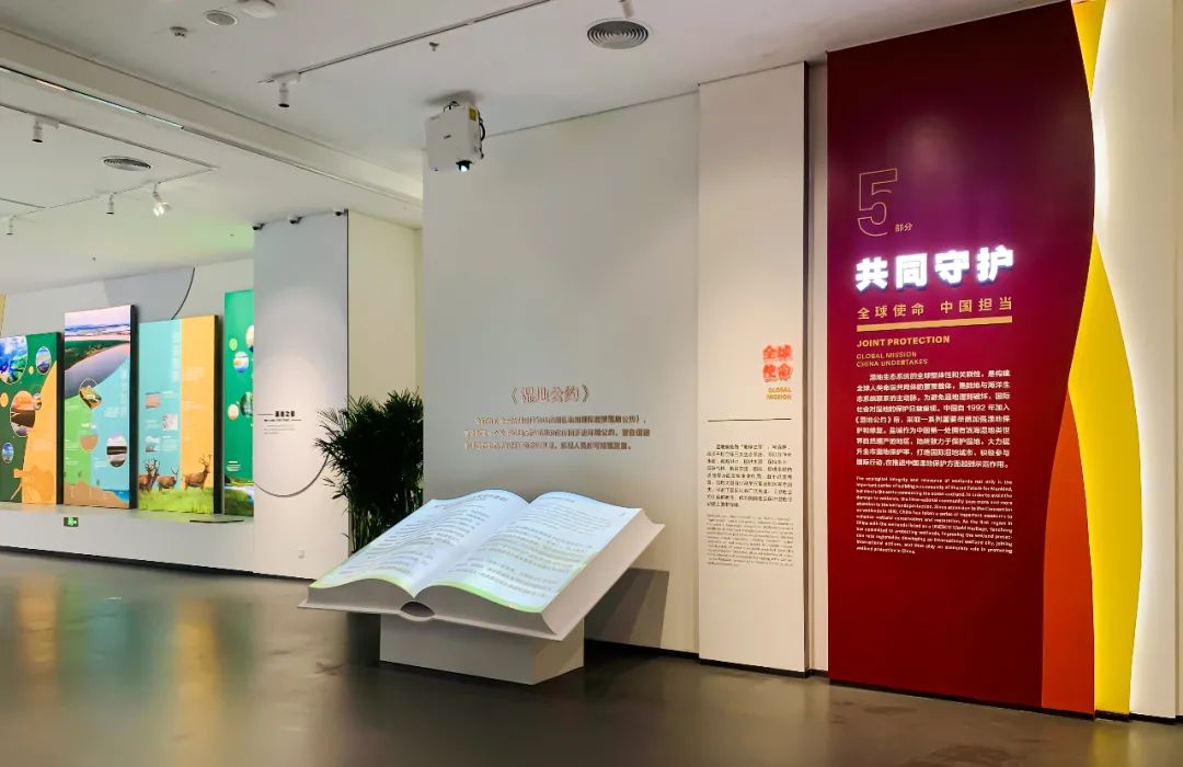 展厅设计｜黄海湿地博物馆设计插图17