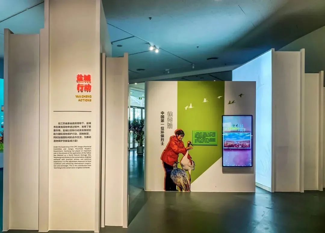 展厅设计｜黄海湿地博物馆设计插图19