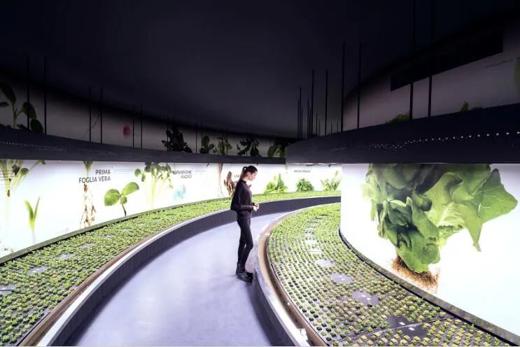 2022国内外最新自然科学历史博物馆45个优秀案例欣赏插图64