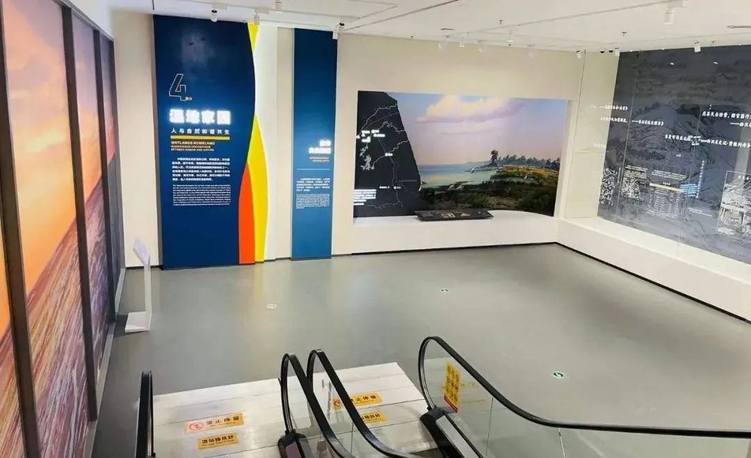 展厅设计｜黄海湿地博物馆设计插图14