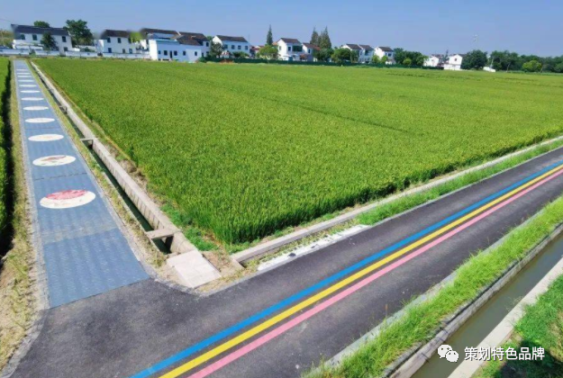 苏州丨张家港市“田园学舍”网格先锋驿站插图23