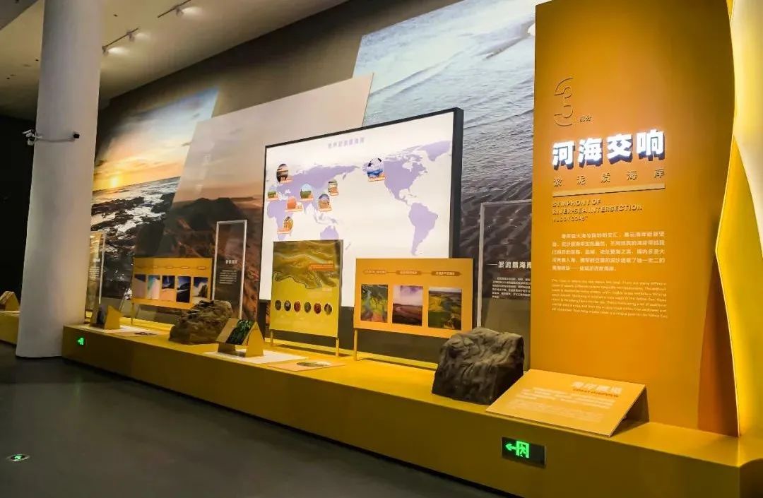 展厅设计｜黄海湿地博物馆设计插图12