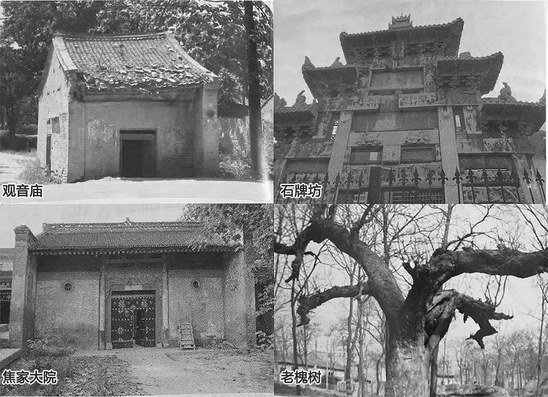 美丽新农村乡村文明建设-1
